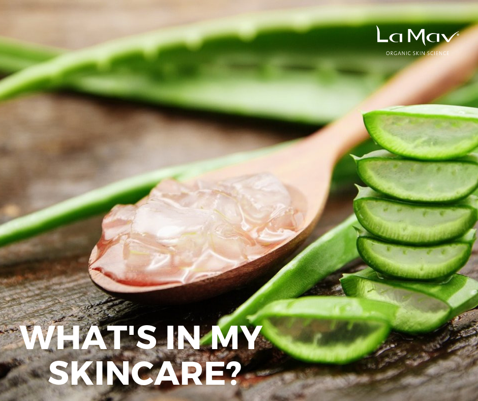 What's in My Skincare? Aloe Vera Extract