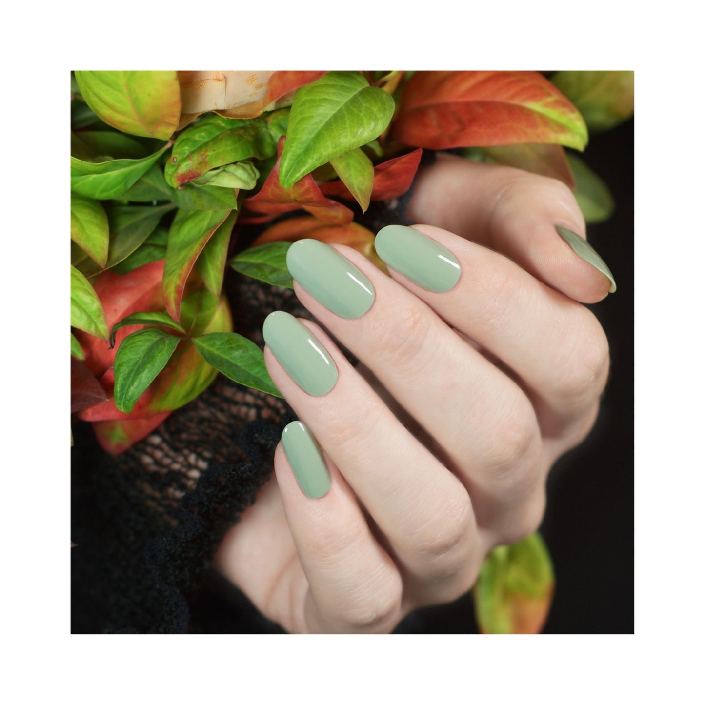 Hanami Non-Toxic Plant Nail Polish 15ml - Branches