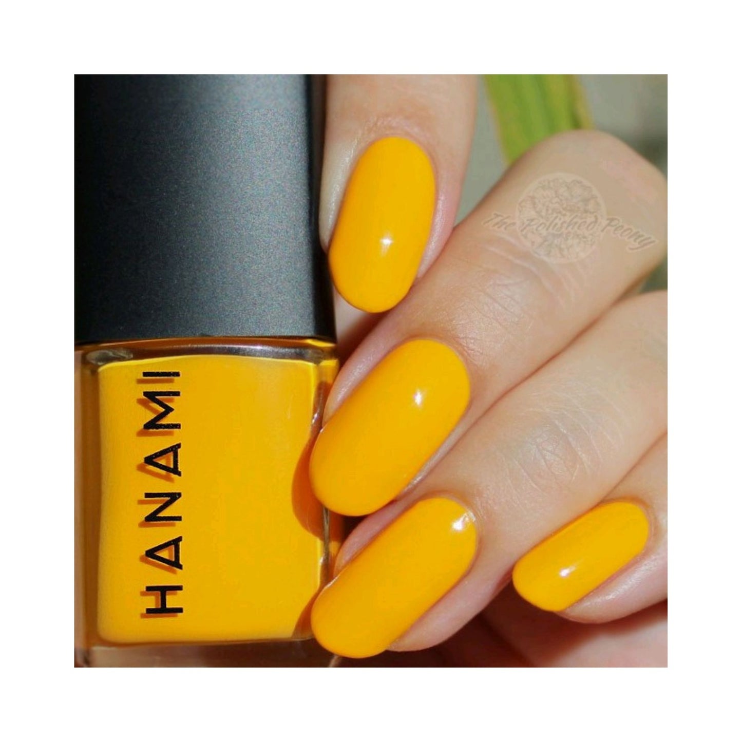 Hanami Non-Toxic Nail Polish 15ml | Beams