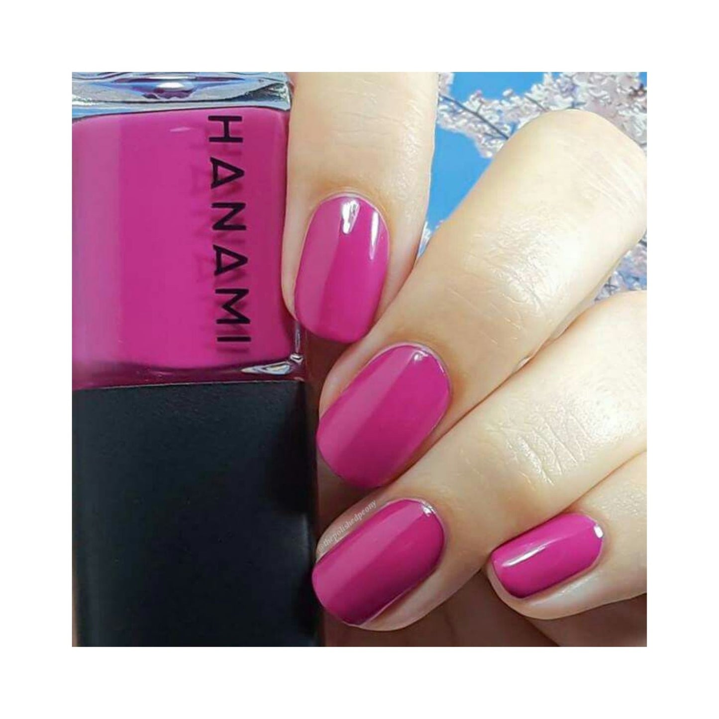 Hanami Non-Toxic Nail Polish 15ml | Cameo Lover